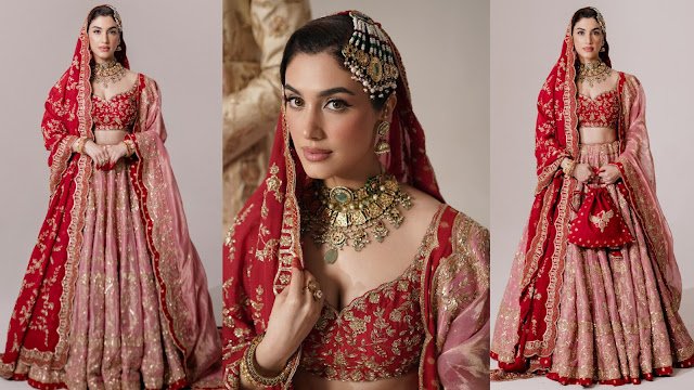 દેલબર આર્યા દુલ્હનની અદ્વિતીય શોભા સાથે લાવ્યા શાનદાર લુક
